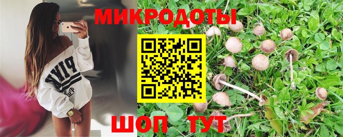 Псилоцибиновые грибы MAGIC MUSHROOMS  Вход с VPN  Галлюциногенные грибы ЛСД  Полысаево 