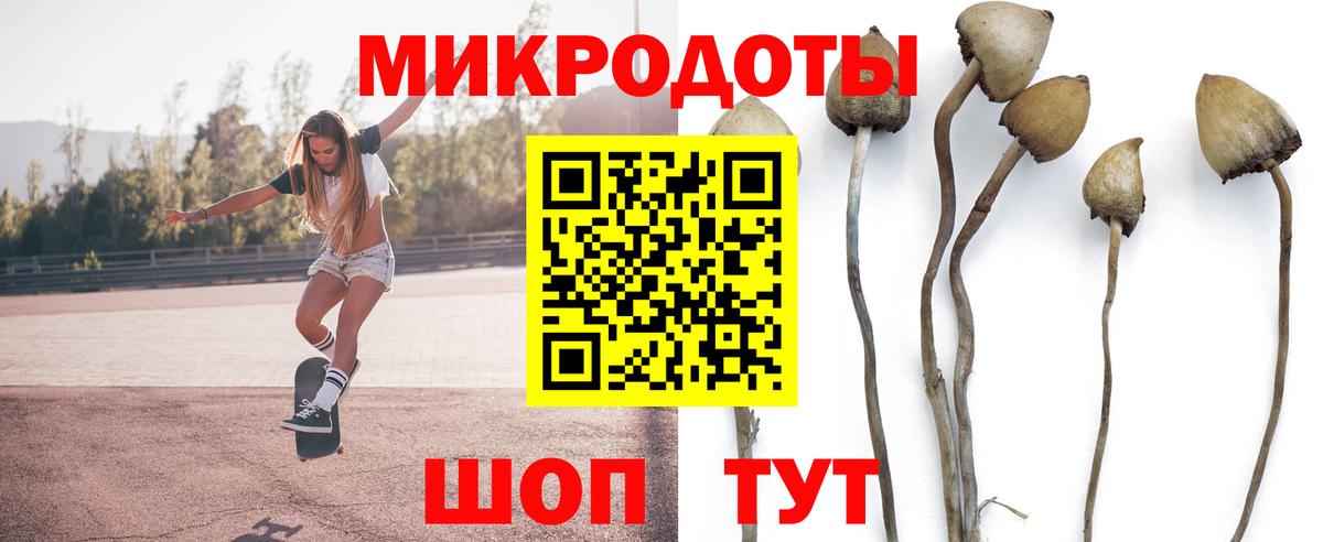 Галлюциногенные грибы Cubensis Полысаево